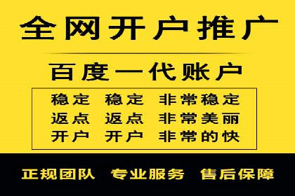 某某sem代运营公司：精准投放的背后策略